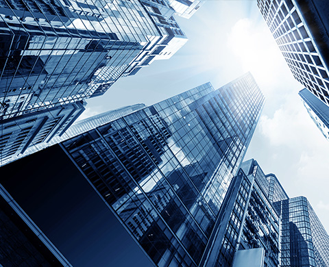 公司簡(jiǎn)介 公司簡(jiǎn)介